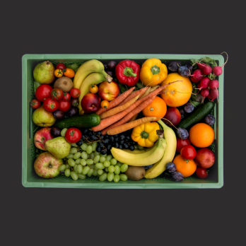 Büro Biokiste groß