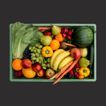 Rohkost Biokiste groß