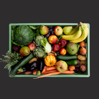 Mutter-Kind Biokiste groß